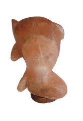 Salt Lamp Dolphin Shape 3 kg - StonesWork